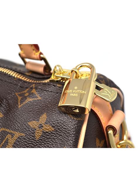 louis vuitton speedy 25 liner